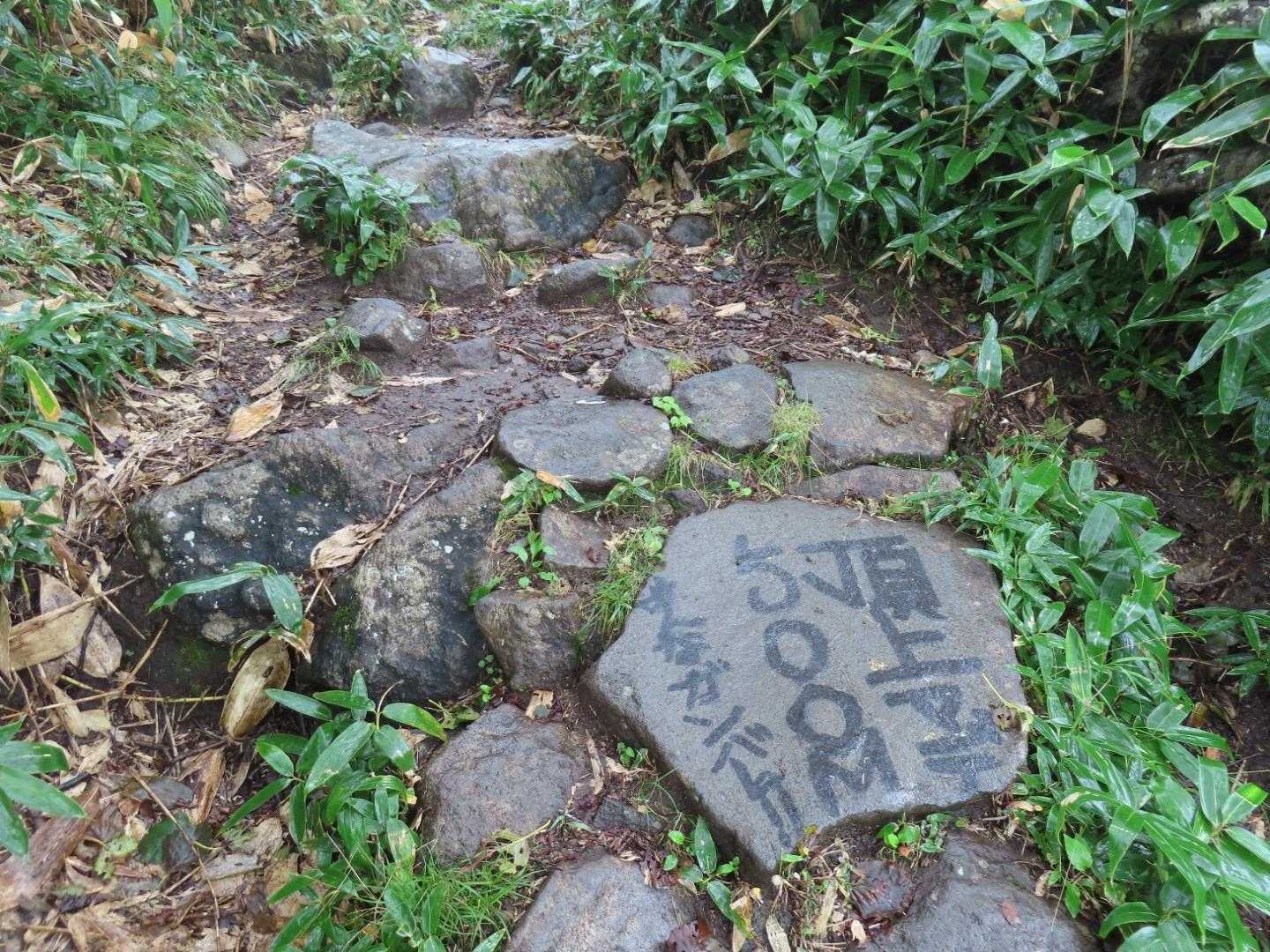 頑張る💪