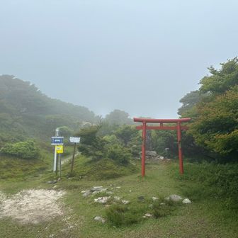 ここで小休憩
