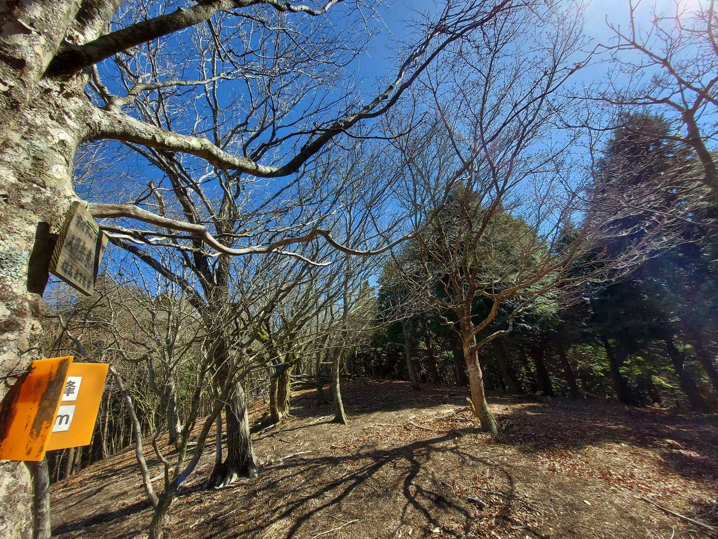 人見岳東峰山頂