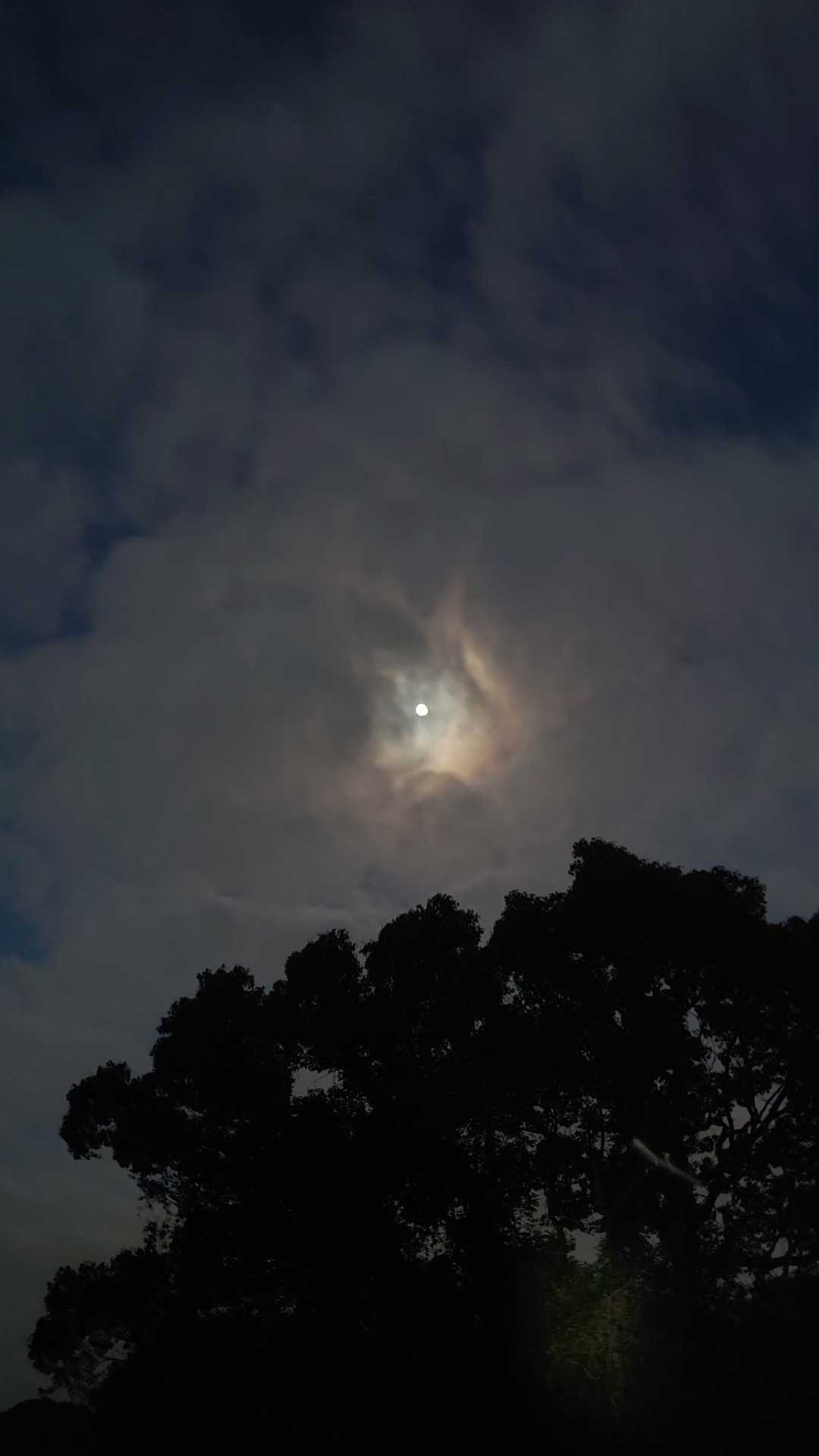 まだ月🌕が出てました。