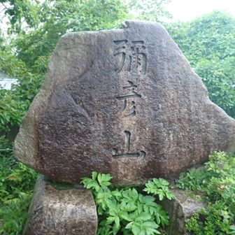 で、山頂付近にある、山名表示。