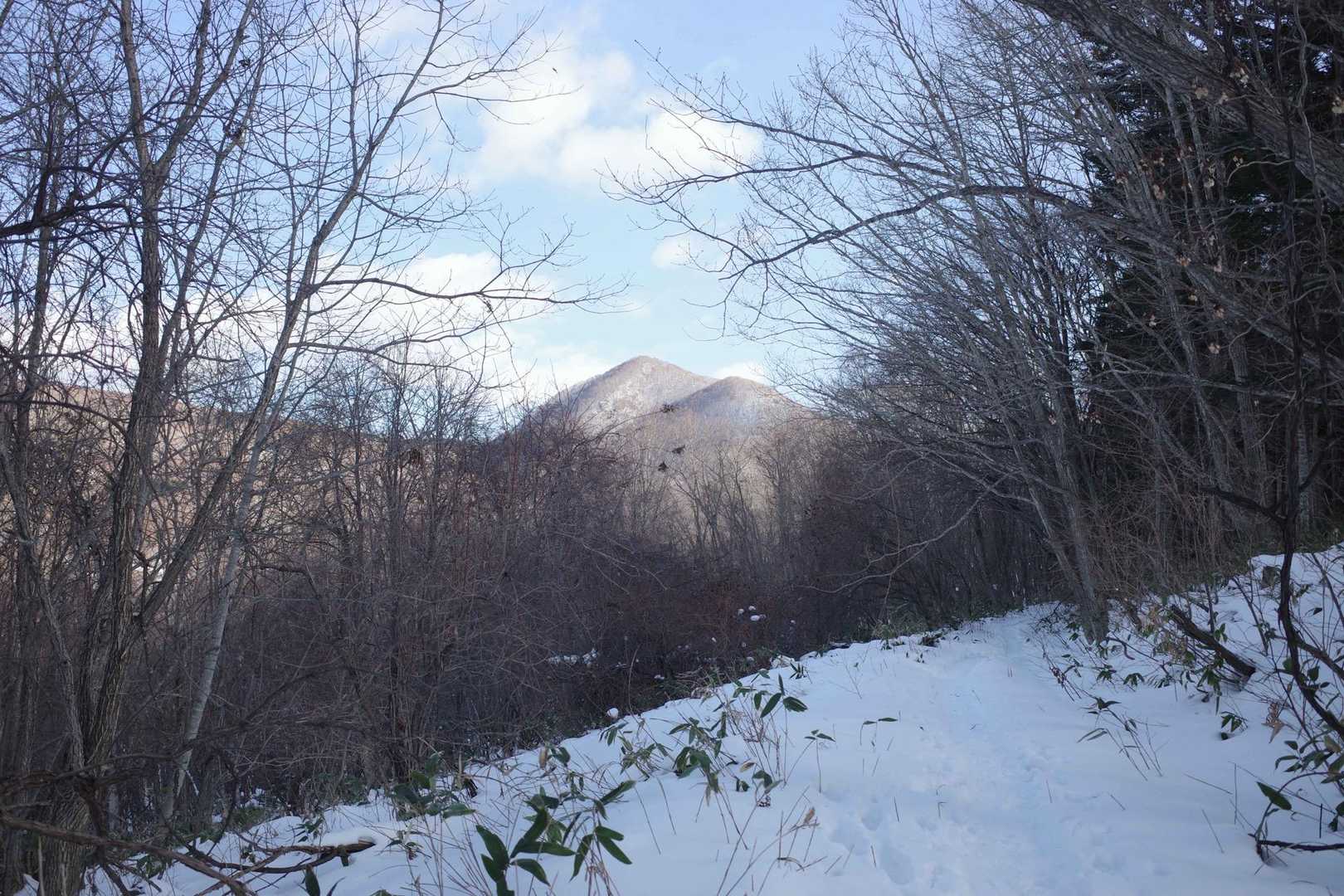 庄司山 往復コースの写真
