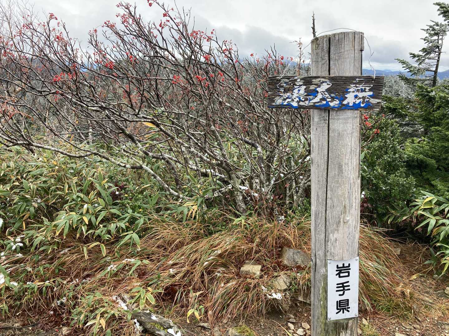 源太森の山頂です
八幡平山頂からここまでの距離も短く、360°パノラマ、全体を見渡せるので、おススメです！