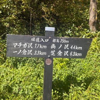 1時間後のバスが土合駅を通過するタイミングでヨッホまでの上り坂はバスにて
たすかったー！