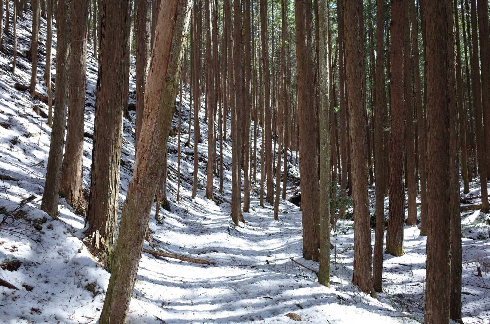 この辺りも良い雰囲気。