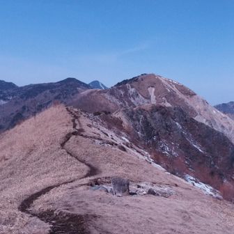 ルンルン気分でスタスタ進むとぬかるみにハマります😭