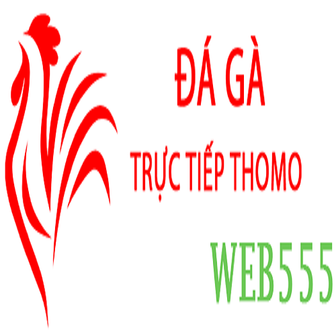 Đá Gà Trực Tiếp Thomo