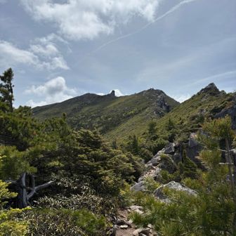 樹林帯は涼し過ぎて、稜線出たら温かいかなー思ったけど、風が冷たかった