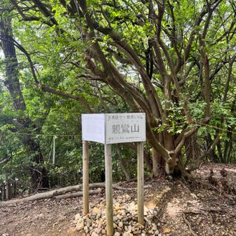 名古屋名東区で1番高い山
親鸞山111.6メートル