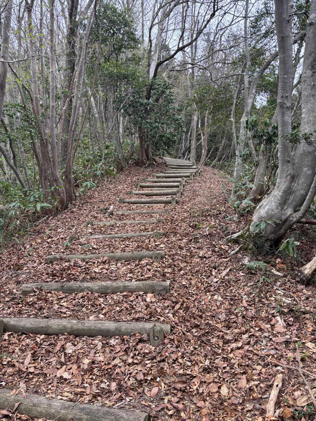 ずっと階段です
ある意味ちゃんと整備されている