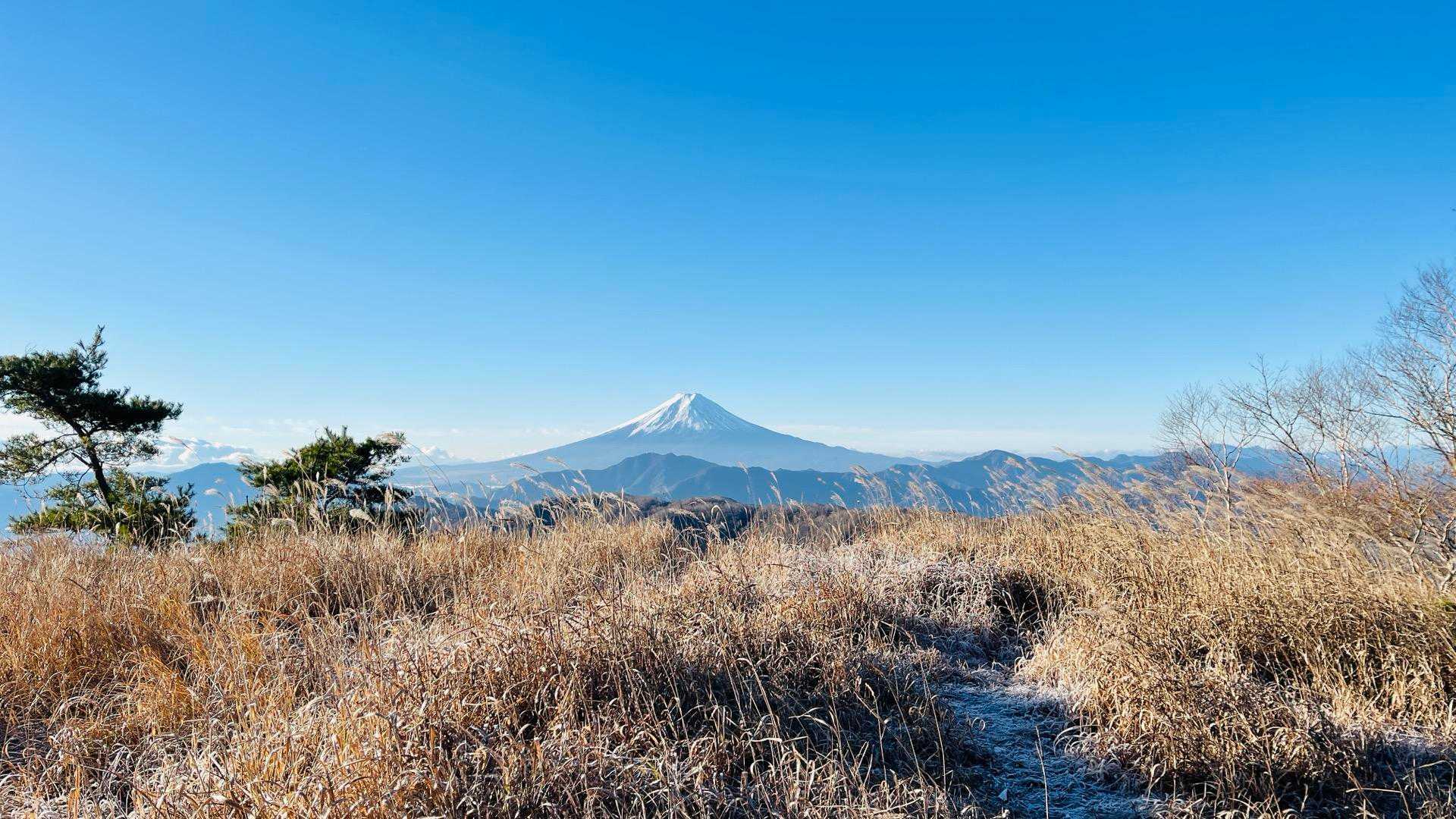 湯ノ沢峠登山口-湯の沢峠-白谷ノ丸-大蔵高丸-ハマイバ丸 周回コースの写真