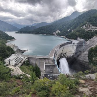 代表取り締まられ役