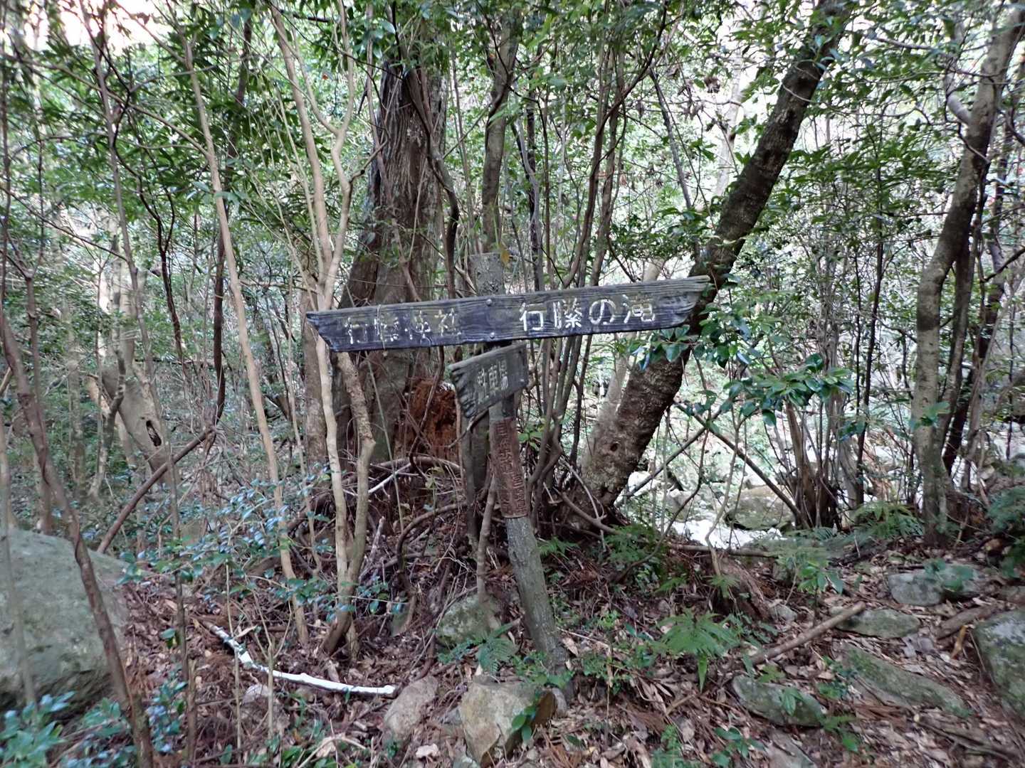 少し進むと行縢神社(下の駐車場)からのルートに出合います。