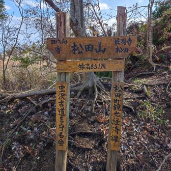 松田山の頂上。