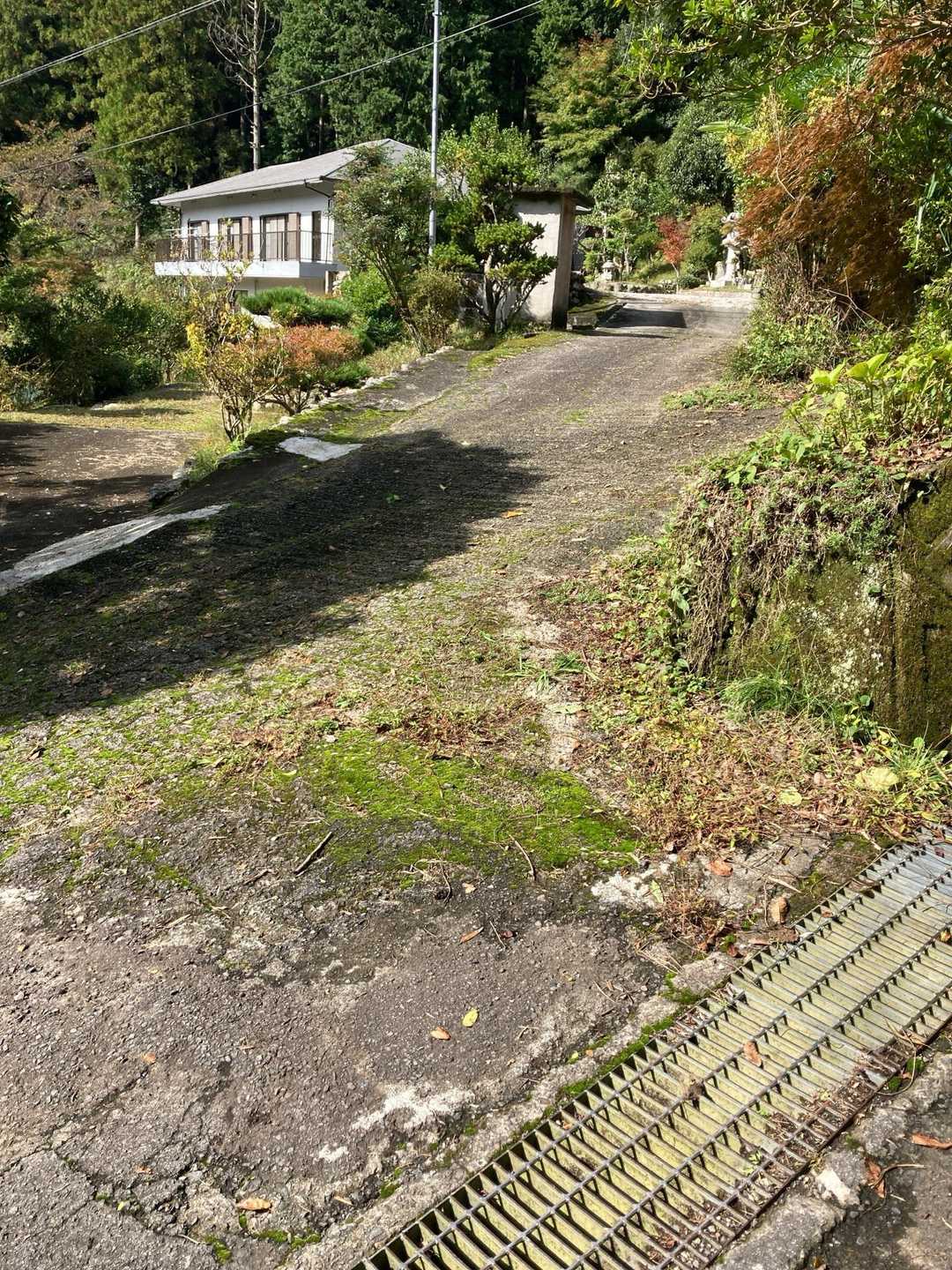 一番、奥の家にいます。気をつけたいです。