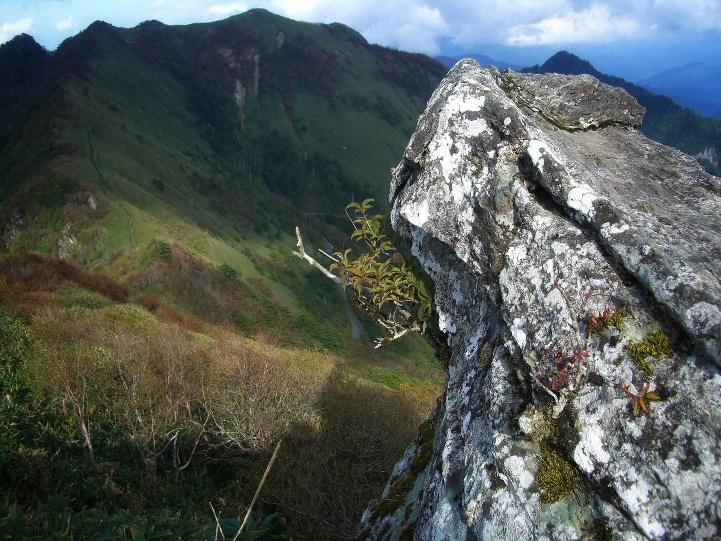 伊予富士登山口-東黒森 往復コースの写真