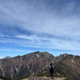南駒が素晴らしい