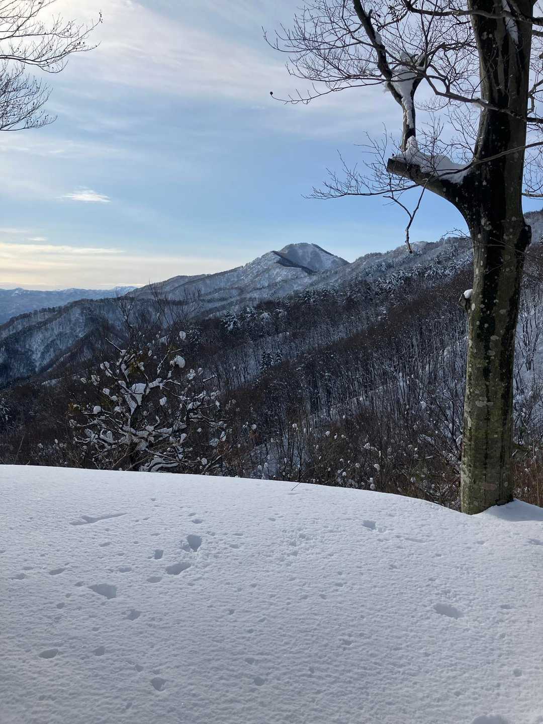 八景台より鎧ヶ峰と母刈山。稜線左肩奥には朝日連峰が見えている。フォロワーさんの日記で左肩ギリギリに昨年登った以東岳が見えることを知った。望遠レンズでは以東小屋も見えるようだ。
肉眼では以東岳がしっかり確認できた。自分が登った山ってなぜか見分けることができる