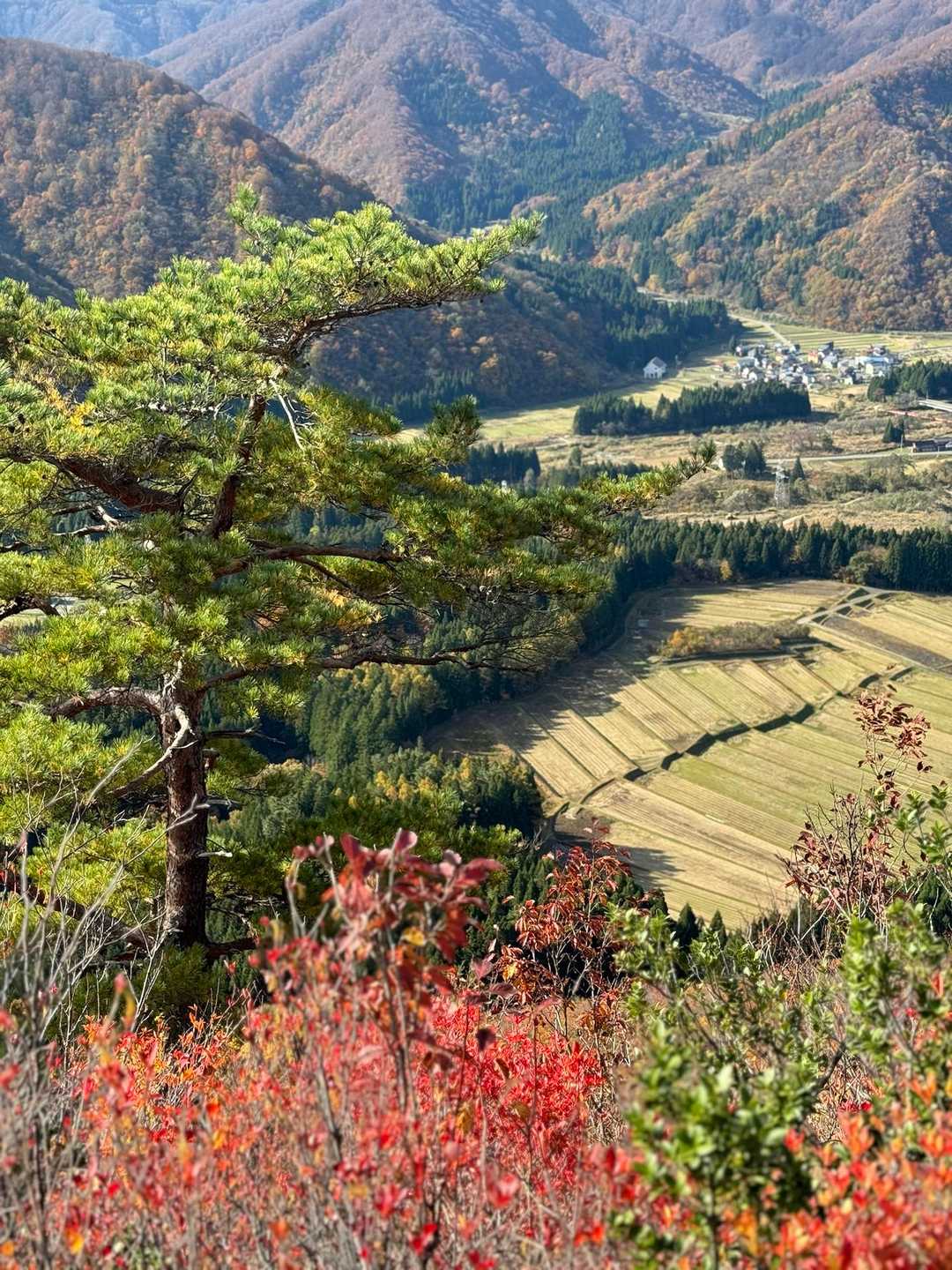古峰山-古峰山登山口 周回コースの写真