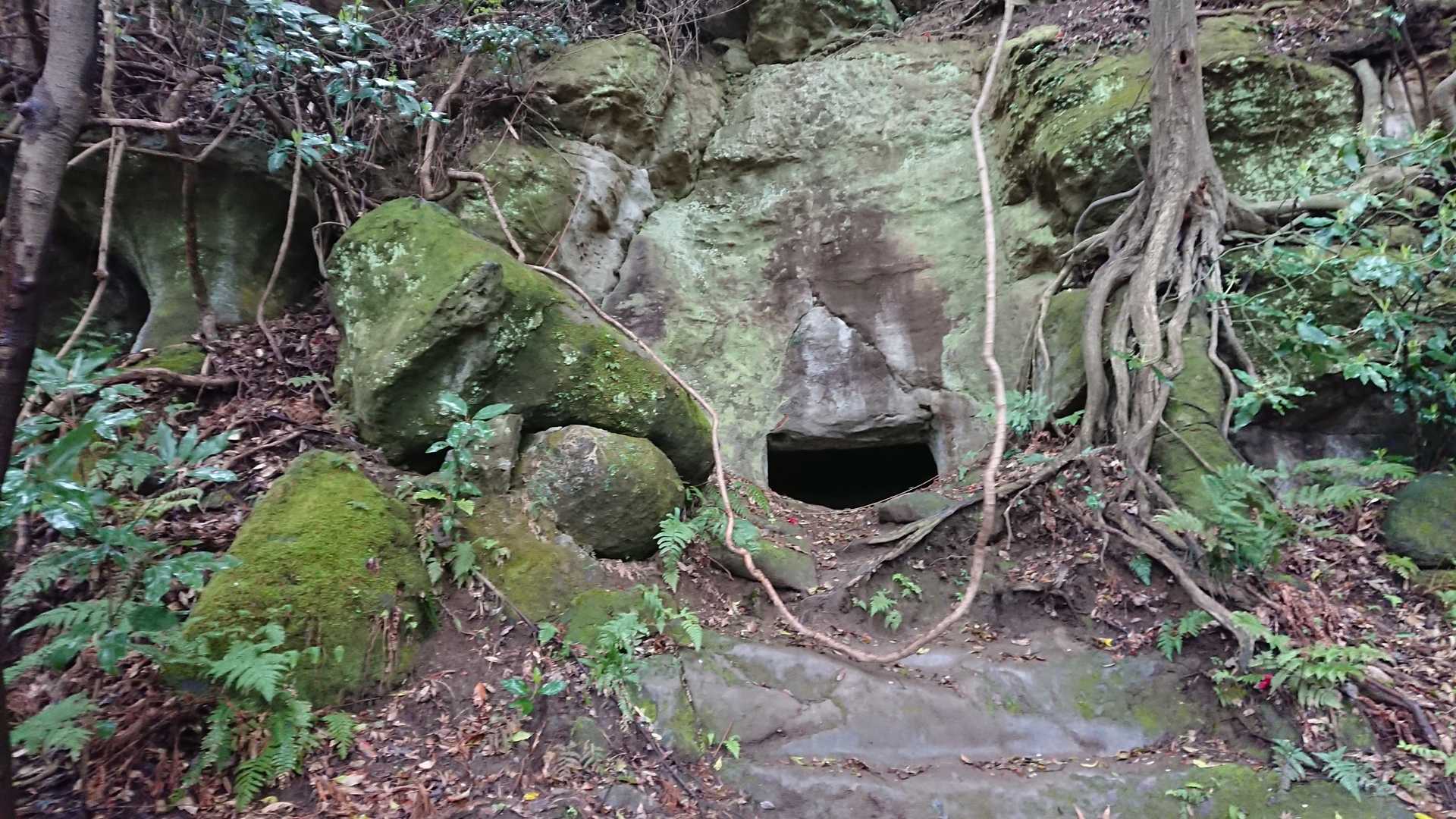 お次は天園ハイキングコース入口～
北鎌倉方面へ。建長寺半僧坊に向かって歩みます。
この場所少し前でリスを発見🐿️
でもすばしっこくて撮り損ねちゃった😵💧
ハイキングコース内は至る所に
洞穴が❗こちらでは枝ブランコを発見😁