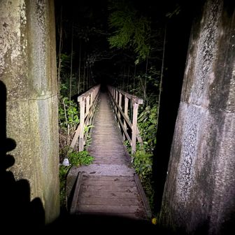 吊り橋を越えるといきなり登りになります。