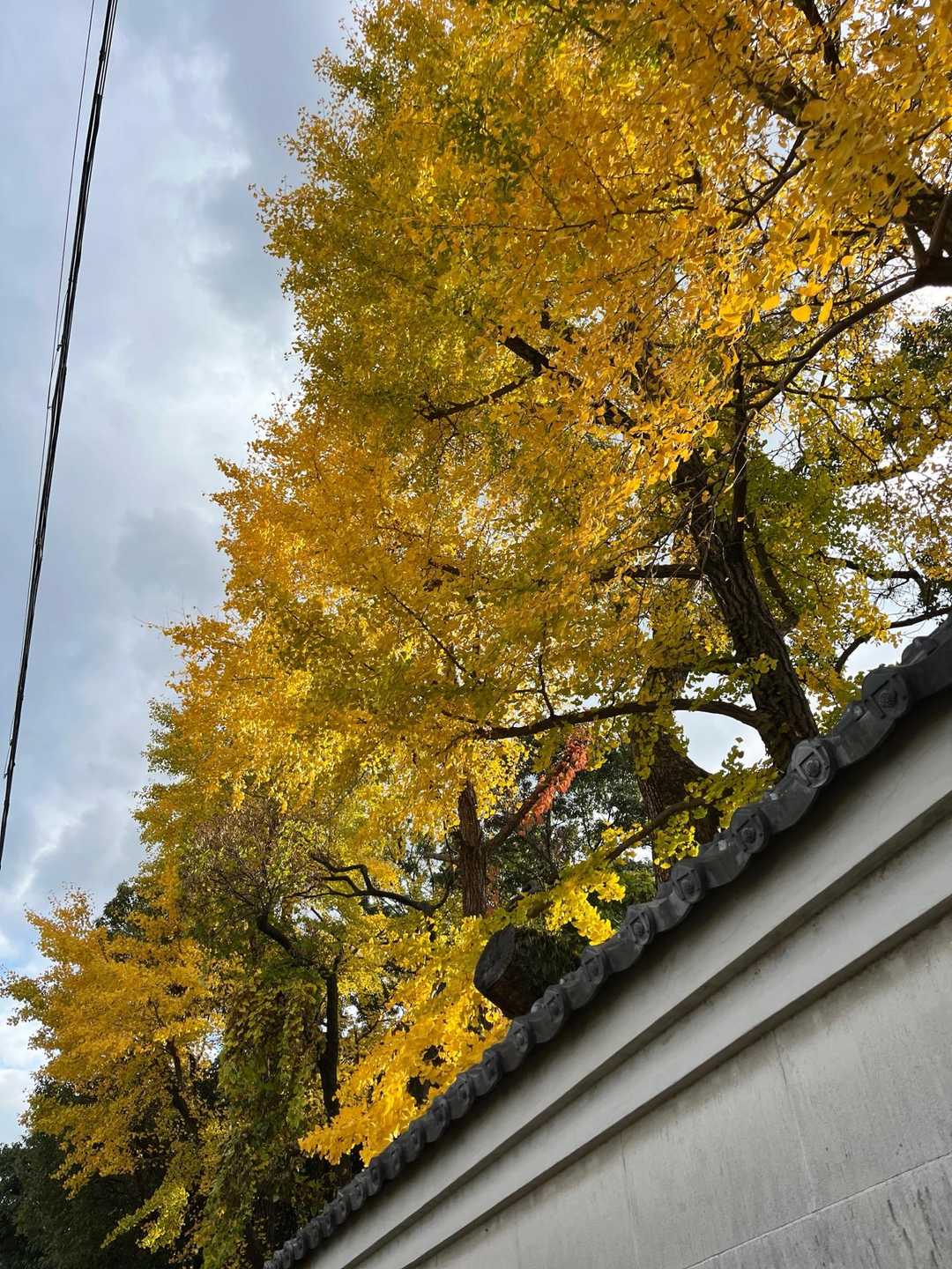 諏訪神社-市章山 往復コースの写真