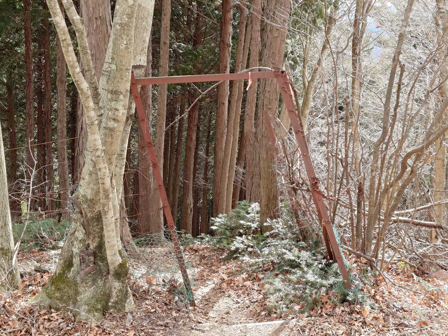 役に立ってるのか　枠だけのトビラ