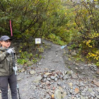 途中、工事用の道と登山道が交錯しています