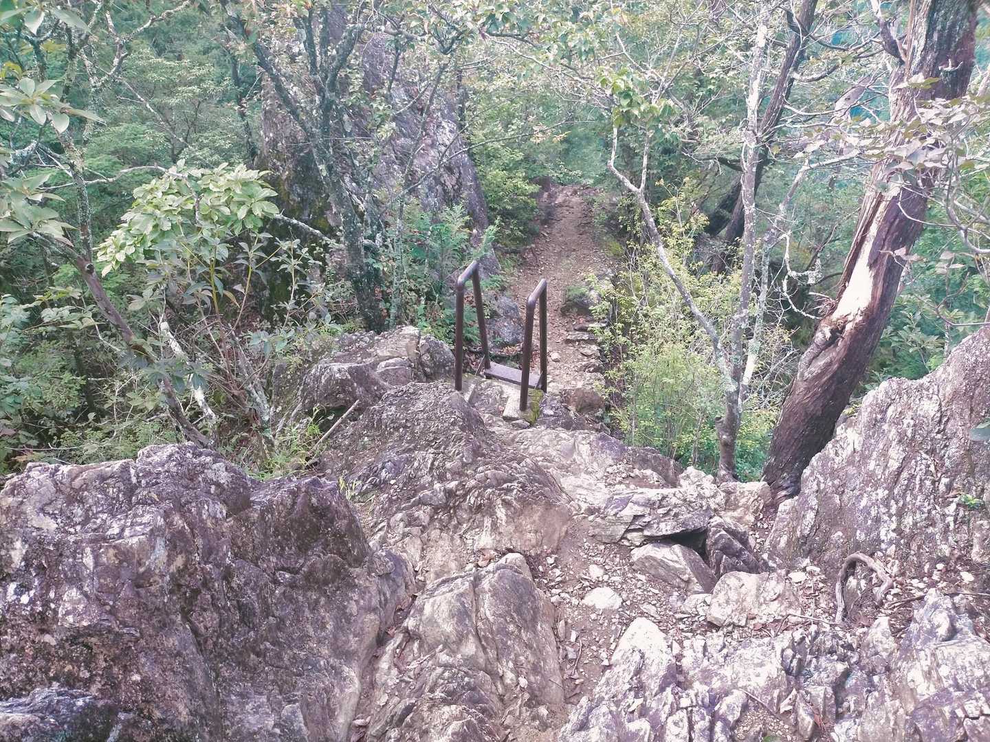ハシゴを下って