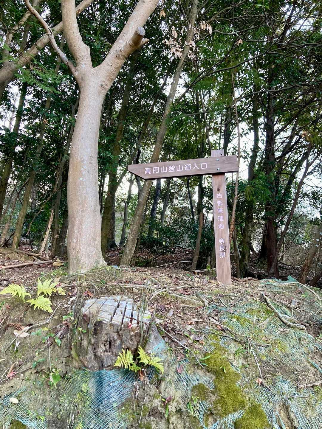 高円山登山口
近くに大きなぬかるみがあります。竹を置いてぬかるみ整備を試みました。でも、竹が転がってごろごろ…あぶなっ…バキっ…ぐちゃっ😅
