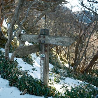 まずは
台が森へ