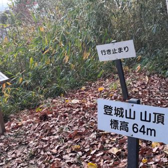 まずは1座目📍登城山

