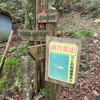 左が奥之院　真っ直ぐは通行禁止？
