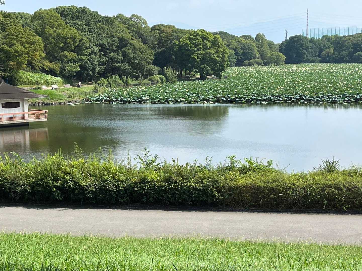 なんかステキ💓
だけどほとりの道には降りれない🤨