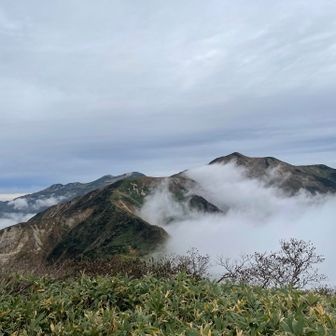 秋の白山も登ってみたいですね