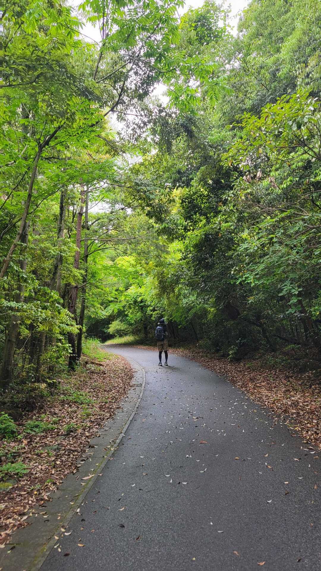 新緑🌿に紛れる
ミルたんさん😊