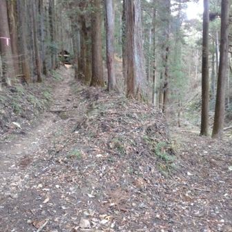 左を進みました。