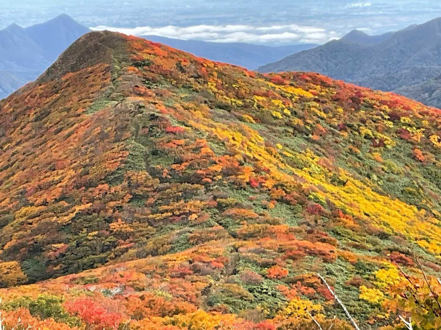 無名峰を振り返って
燃えている🔥