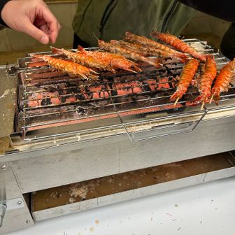 おもてなしは車海老の塩焼き😋