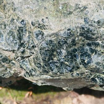 登山道は、黒雲母流紋岩がキラキラ光り、綺麗