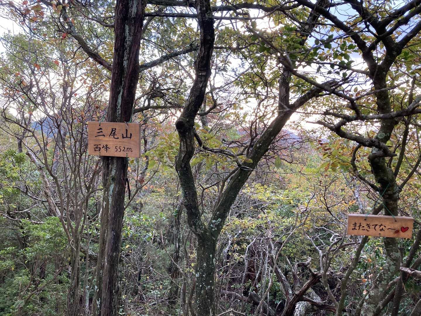 三尾山 往復コースの写真