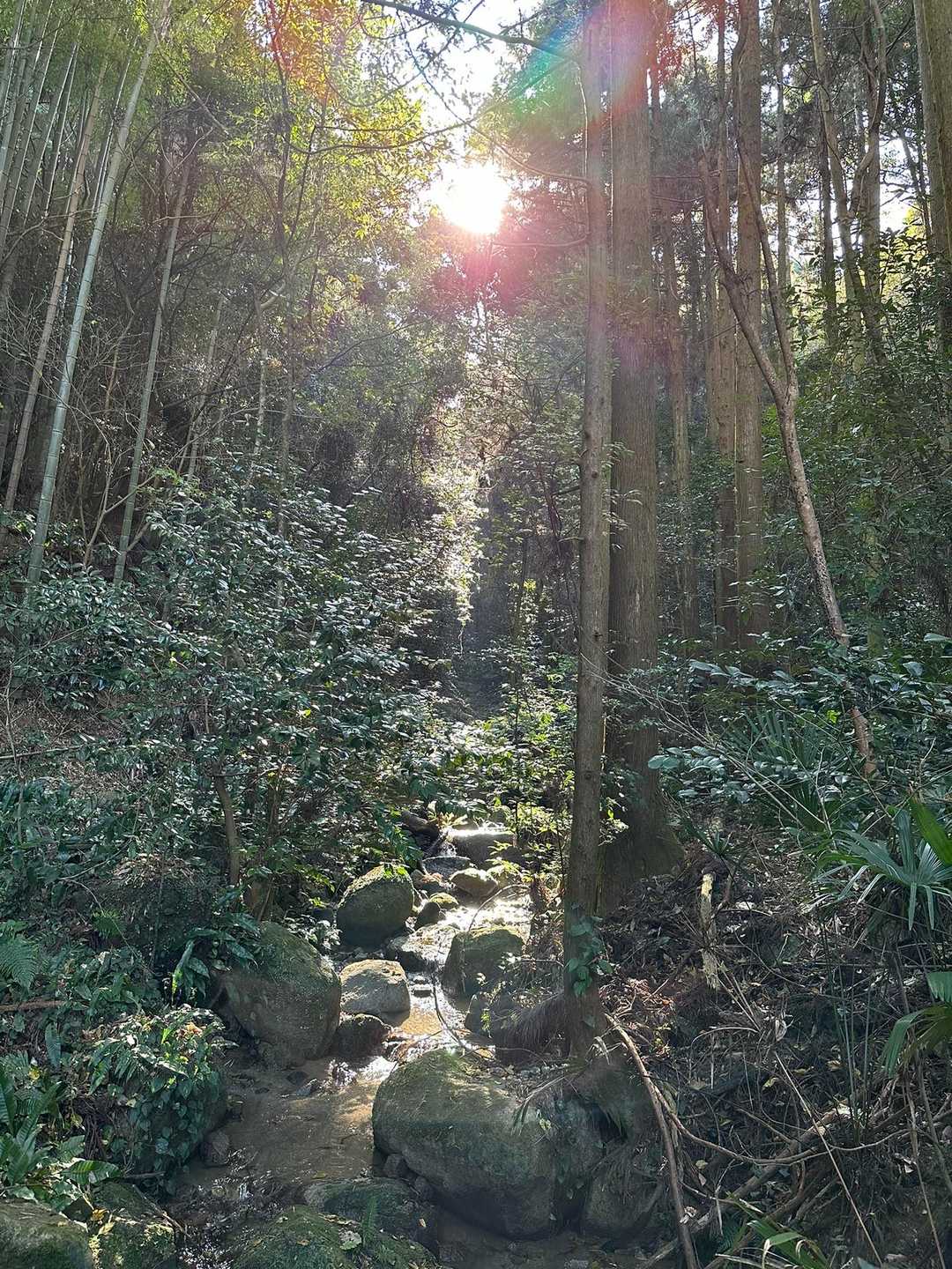 なんかいい感じー