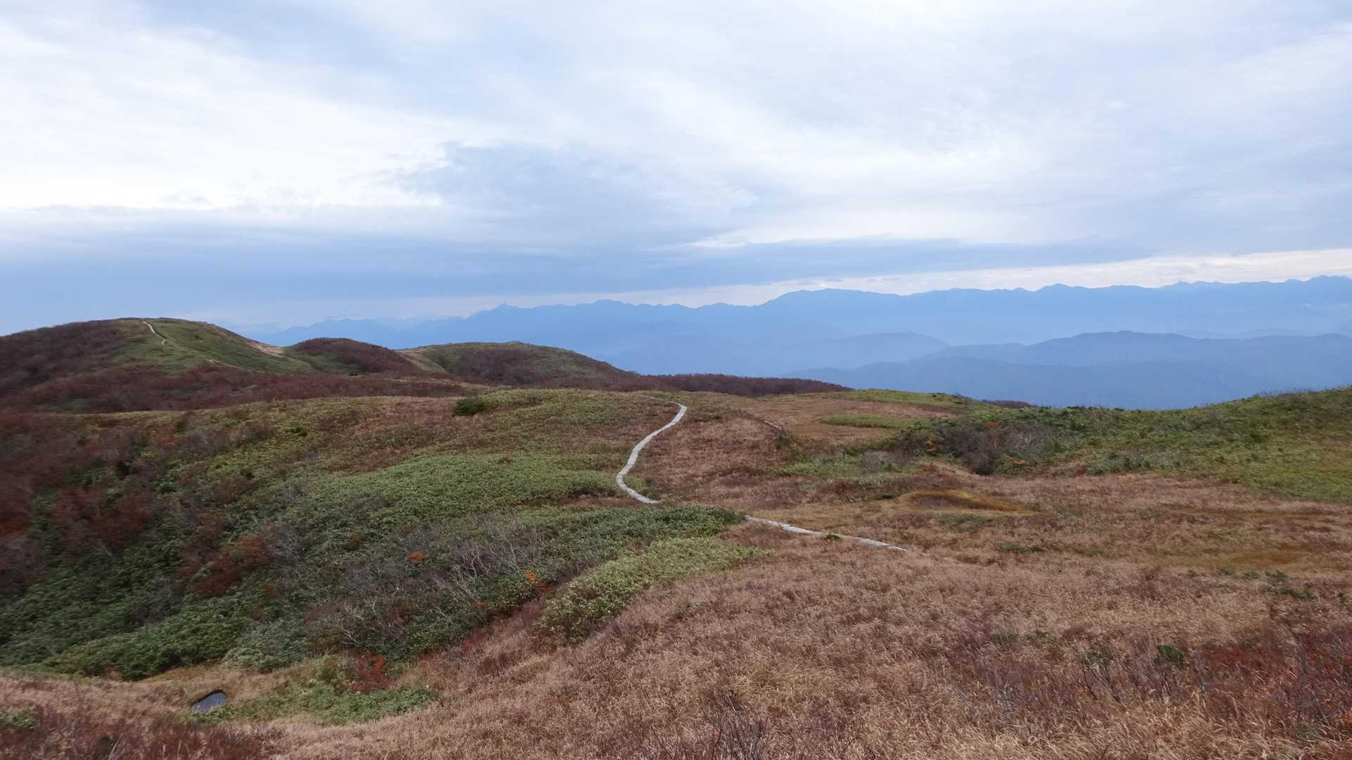 浮島の池へ