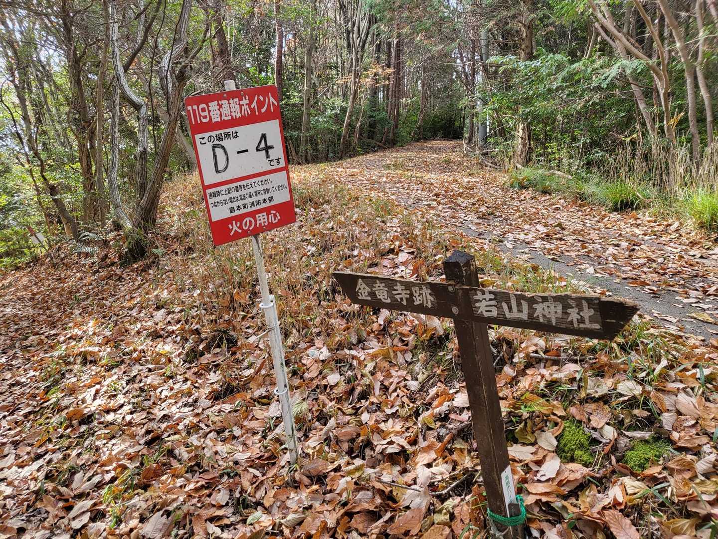 ずっと金竜寺跡があるけど…
気になる。