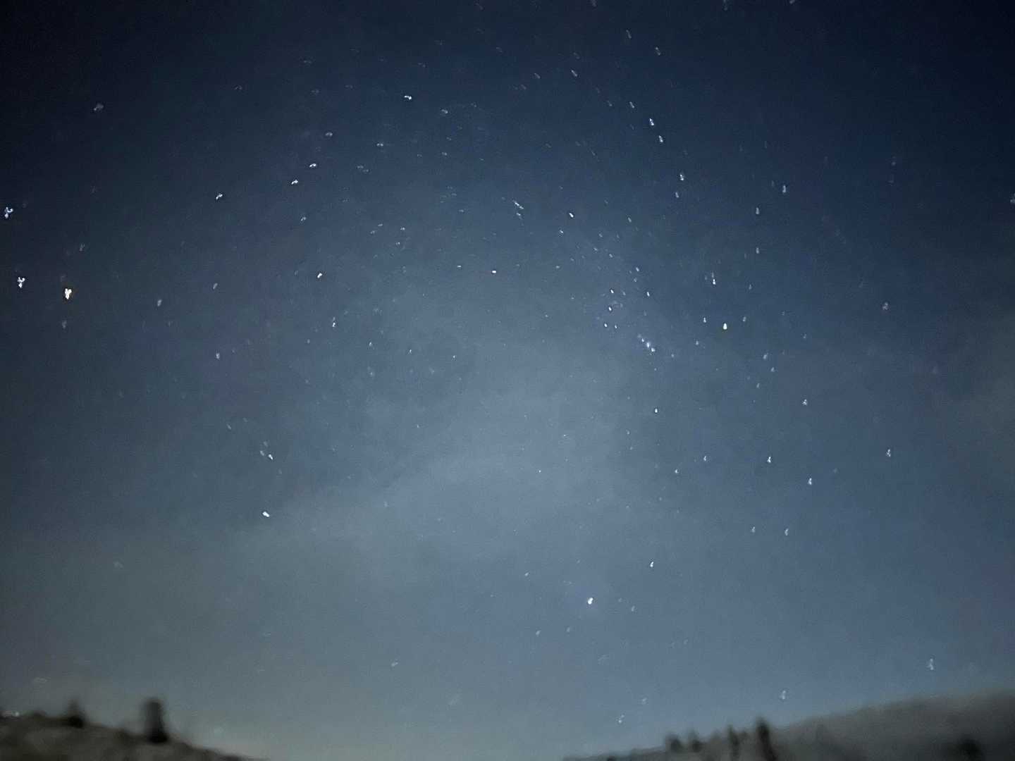 鉢伏山 往復コースの写真
