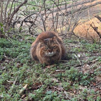 おじゃまします〜
