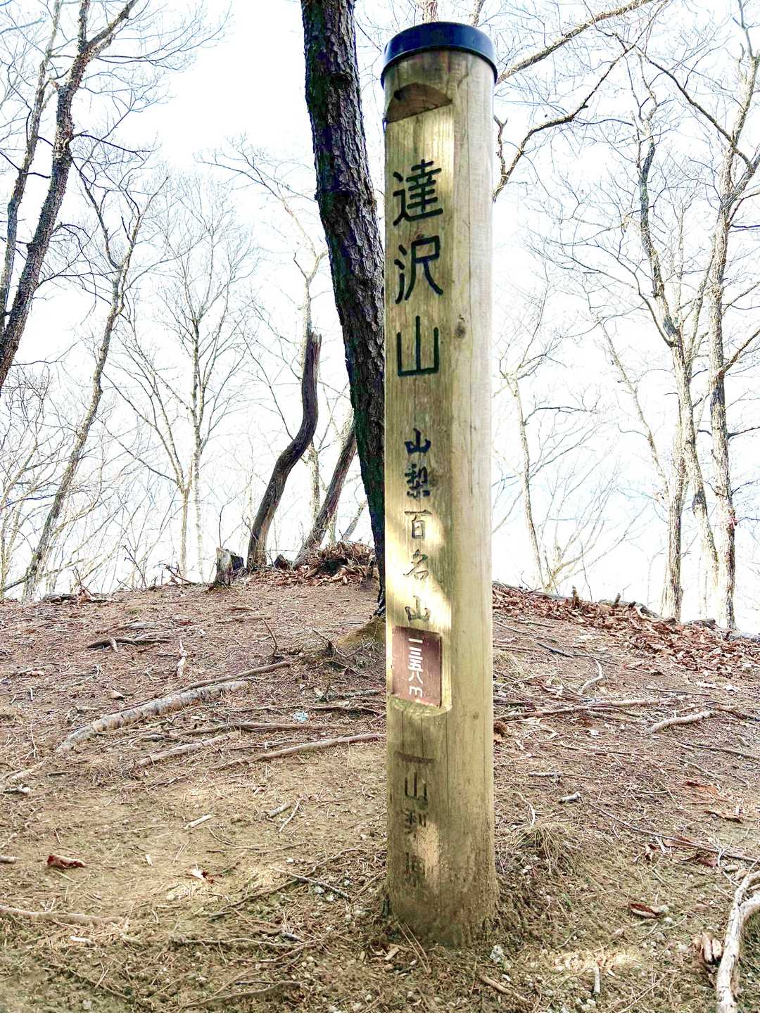 あっという間に頂上