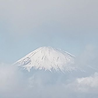 富士山🗻顔出し🎶📸
