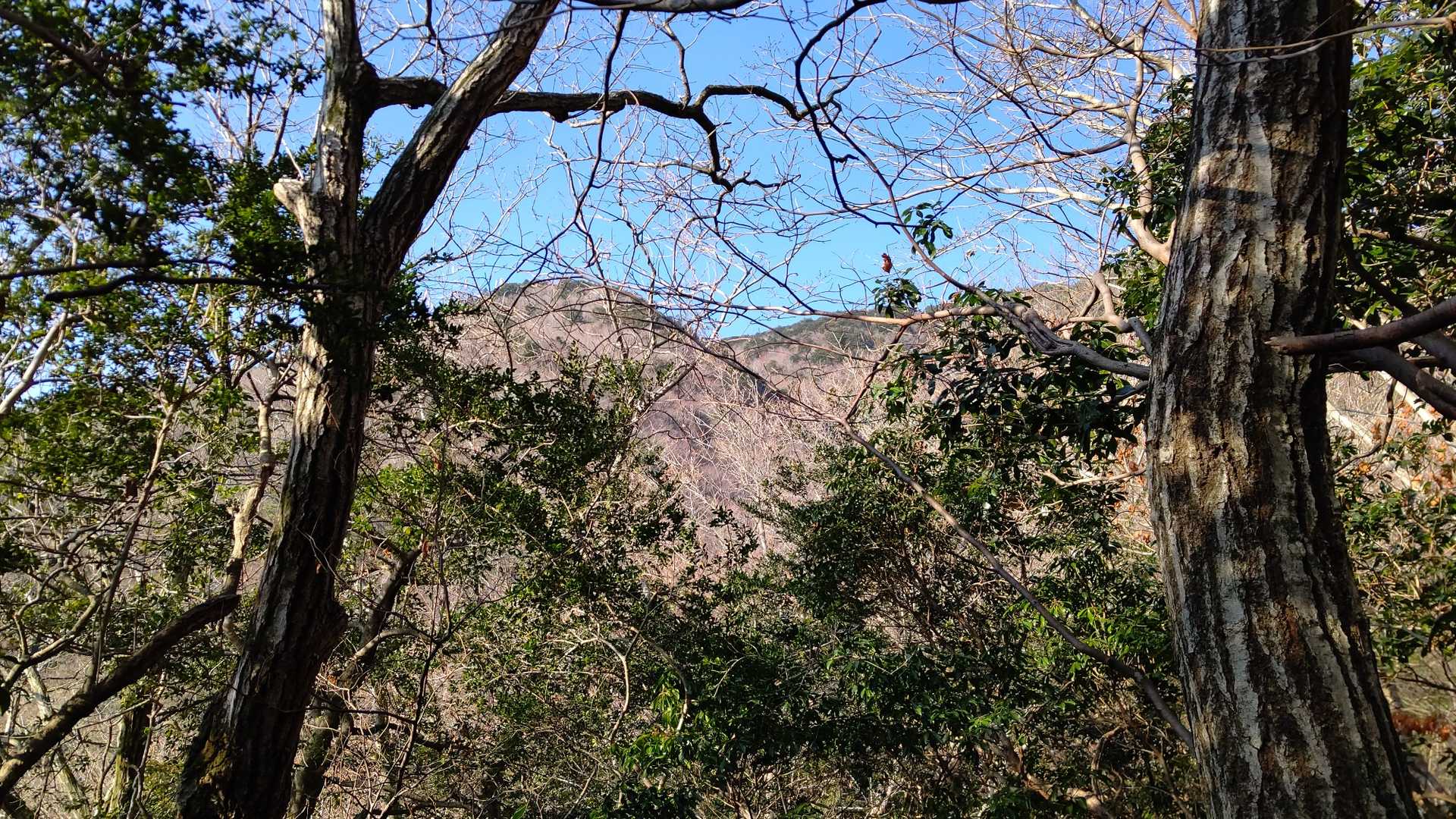 目指す八方ヶ岳かぁ!?
