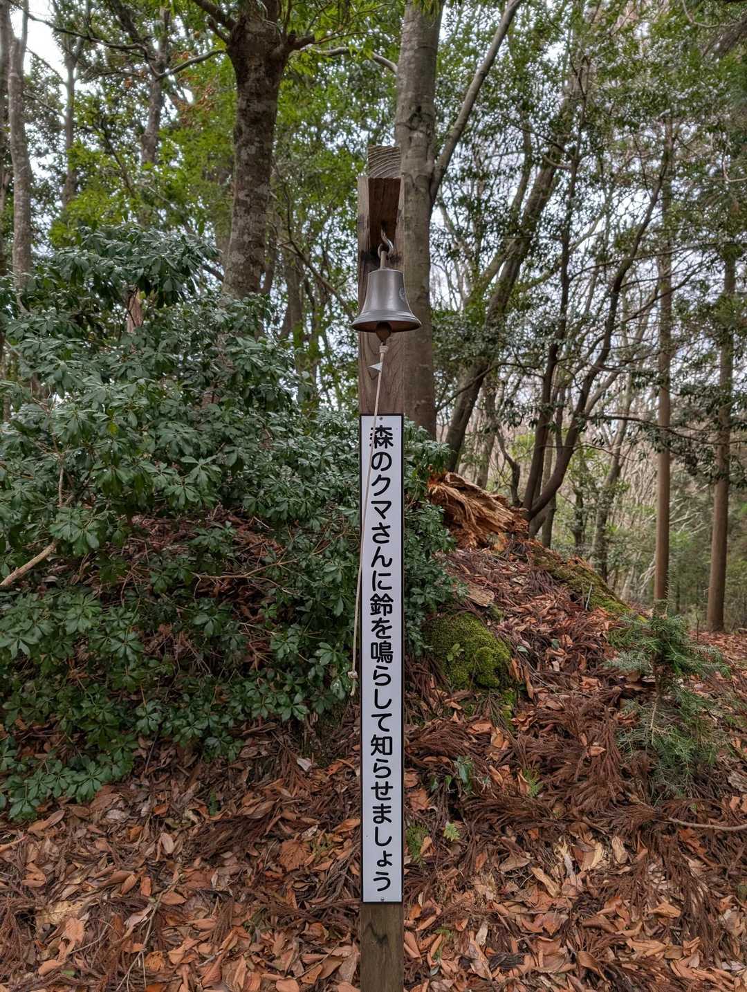 これ鳴らすと逆に起こしてしまうような…